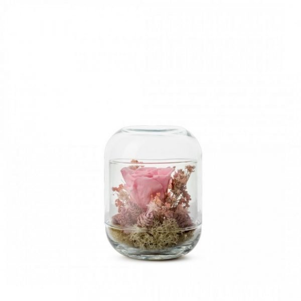 VERRINE CAPSULE ROSE PASTEL