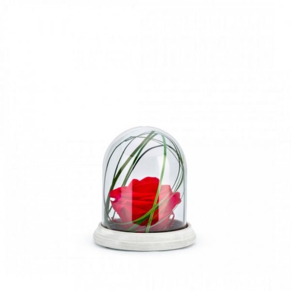VERRINE STAB - CLOCHE CIM S