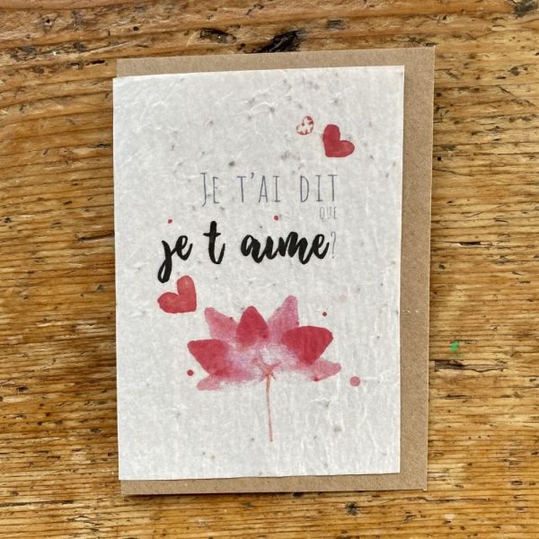 JE T'AI DIT QUE JE T'AIME CARTE À PLANTER