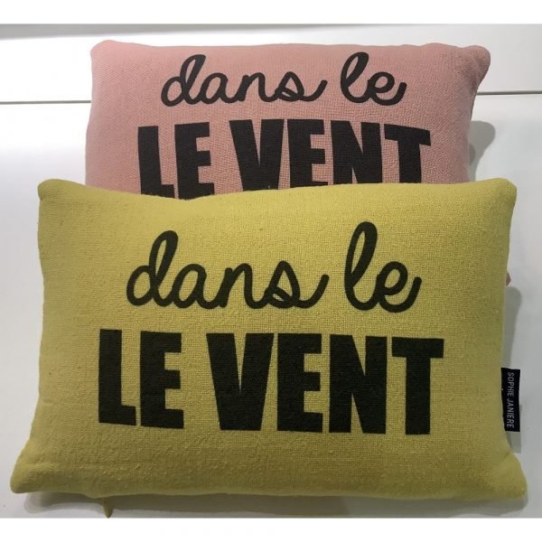 COUSSIN LUCIEN 20X30 - DANS LE VENT