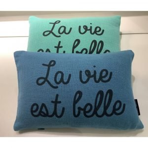 COUSSIN LUCIEN 20X30 - LA VIE EST BELLE