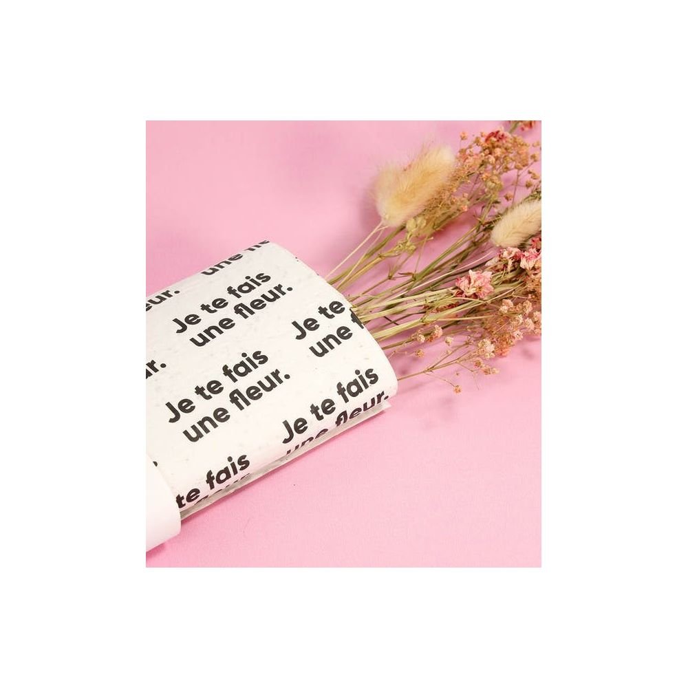 PAPIER CADEAU À PLANTER