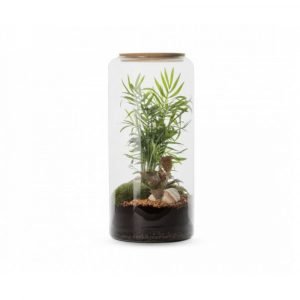 TERRARIUM MIA MIX BOUCHON LIEGE - TAILLE L