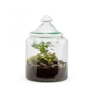BONBONNIERE MIA GINSENG M