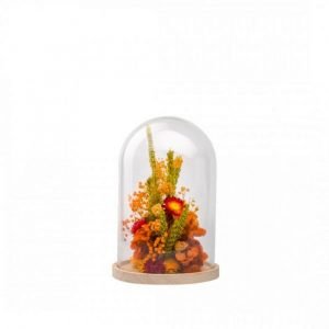 COMPOSITION FLEURS SECHEES - CLOCHE S - ORANGE