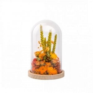 COMPOSITION FLEURS SECHEES - CLOCHE L - ORANGE
