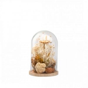 COMPOSITION FLEURS SECHEES - CLOCHE S - BLANCHE