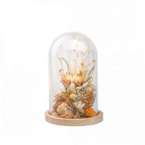 COMPOSITION FLEURS SECHEES - CLOCHE L - BLANCHE