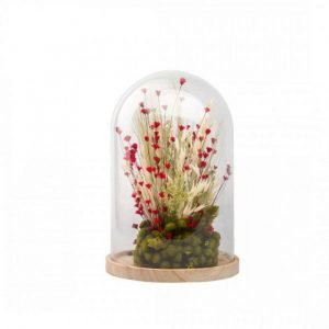 COMPOSITION FLEURS SECHEES - CLOCHE L - ROUGE