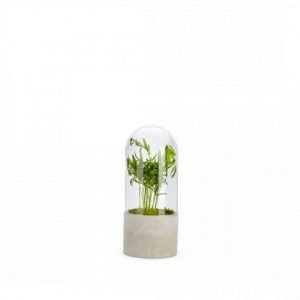 CLOCHE BASE CIMENT MIX - TAILLE L