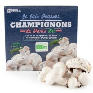 CHAMPIGNON DE PARIS BIO GM
