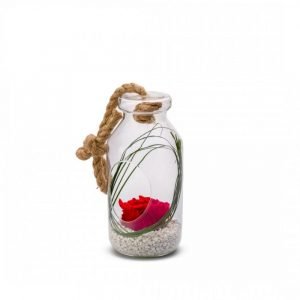 ROSE ETERNELLE BOUTEILLE A SUSPENDRE TAILLE L