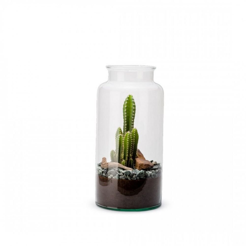 TERRARIUM BOMBONNE CACTUS - L