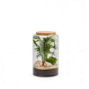 TERRARIUM MIA MIX BOUCHON LIEGE - TAILLE M