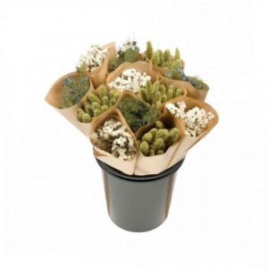 BOTTE BLANC/VERT