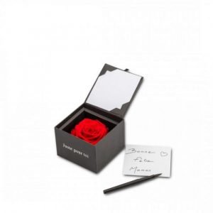 FLOWERCUBE ROSE ETERNELLE ROUGE