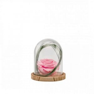 CLOCHE BOIS S ROSE PASTEL