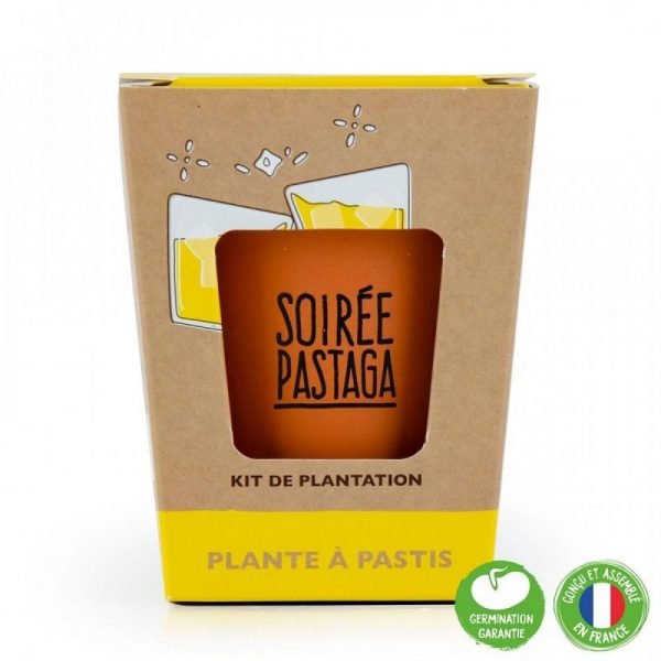 PLANTE ANIS  - SOIREE PASTAGA