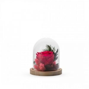CLOCHE STABILISEE - TAILLE S -  ROUGE + FLEURS