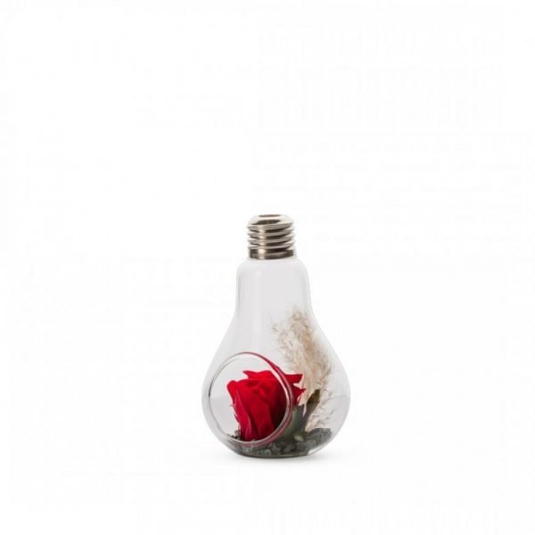 AMPOULE STABILISEE ROUGE + FLEURS - TAILLE M