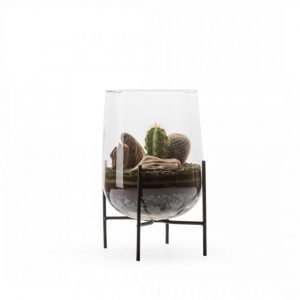 BERLYN CACTUS + SUPPORT
