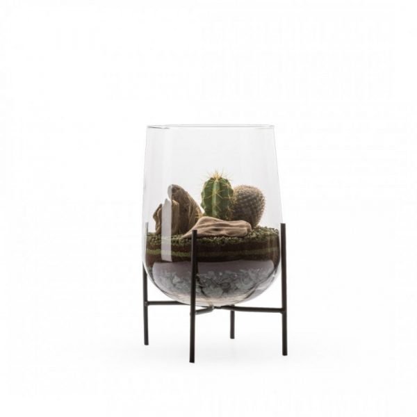 BERLYN CACTUS + SUPPORT