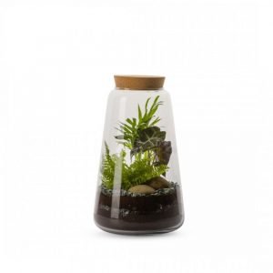 TERRARIUM MINATA M