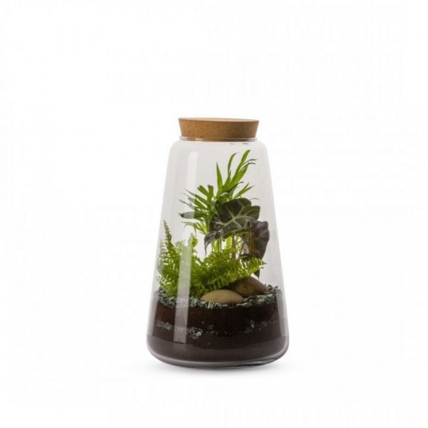 TERRARIUM MINATA M