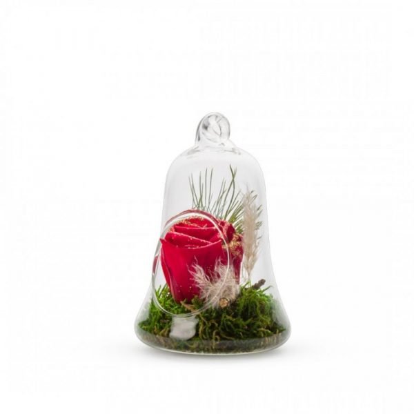 CLOCHE AVEC ROSE STABILISEE