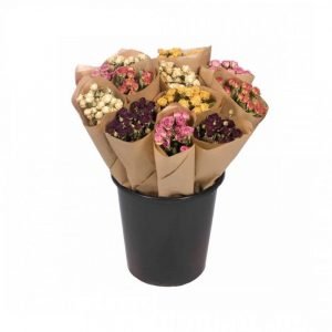 BOTTE DE ROSES