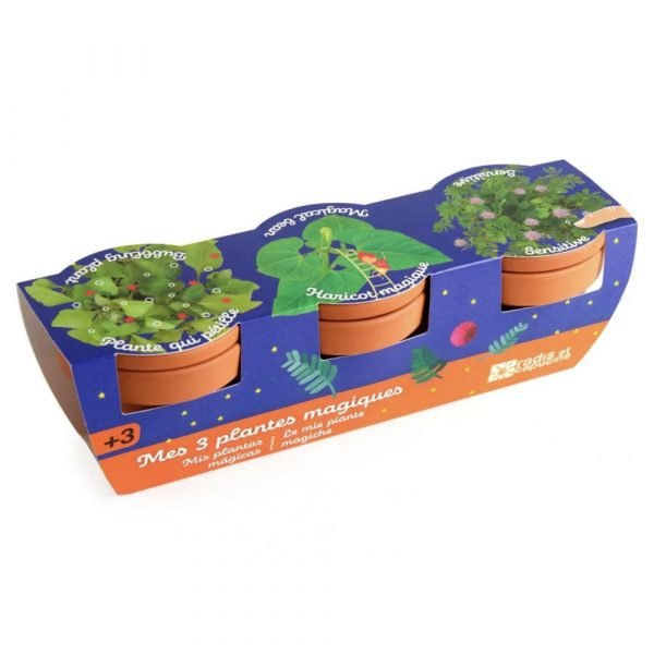 TRIO 3 POTS PLANTES MAGIQUES