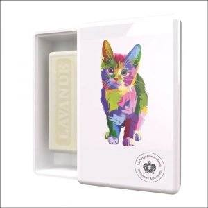 LE PETIT CHAT BOITE A SAVON