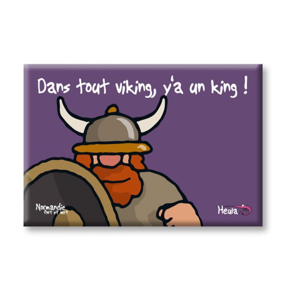 MAGNET PLAT - VIKING