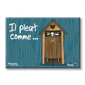 MAGNET PLAT - IL PLEUT COMME...