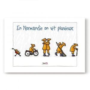 TORCHON PLUVIEUX