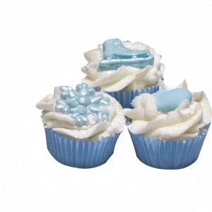 MINI CUPCAKE - PREMIERS FLOCONS