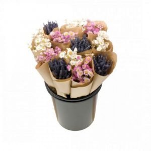 BOTTE ROSE/BLANC