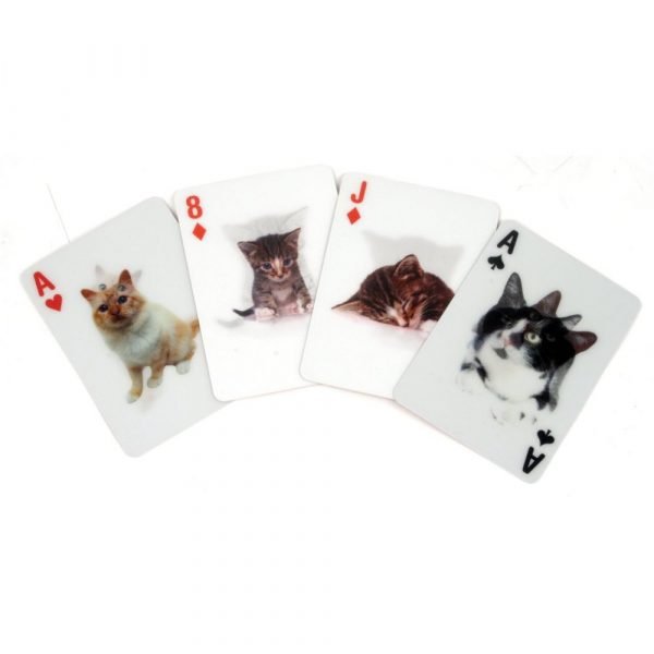 JEU DE CARTES CHAT 3D